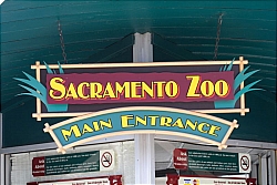 The Sacramento Zoo